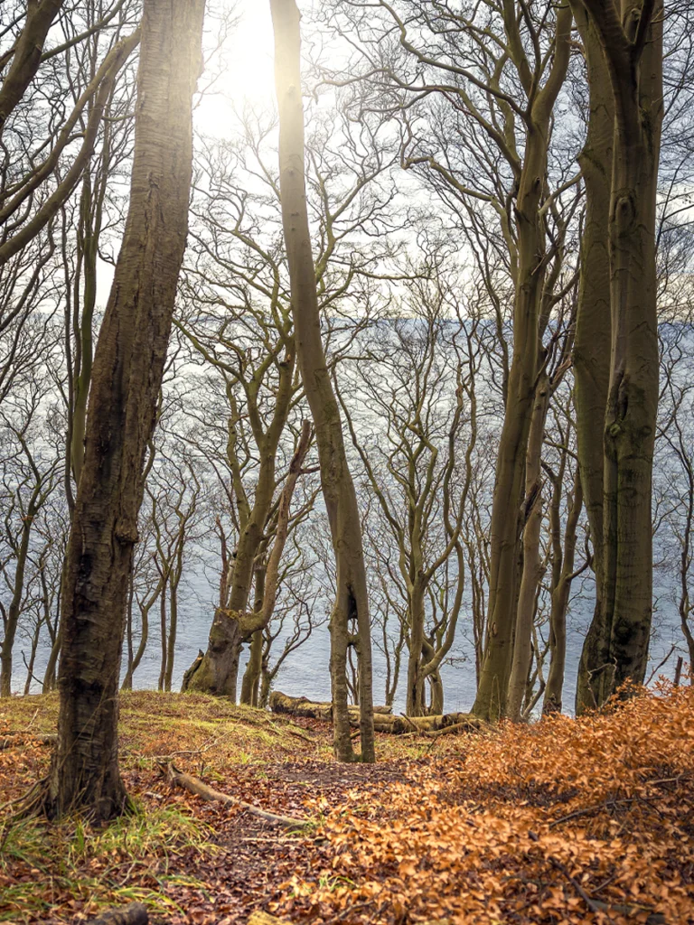 Lohme Wanderung mit Hafen, Schwanenstein und viel Natur - Wandern mit @die_Starkies