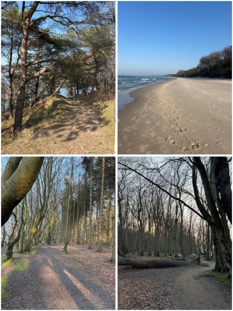 Verborgene Schätze Rügens: Wanderung zum Märchenwald