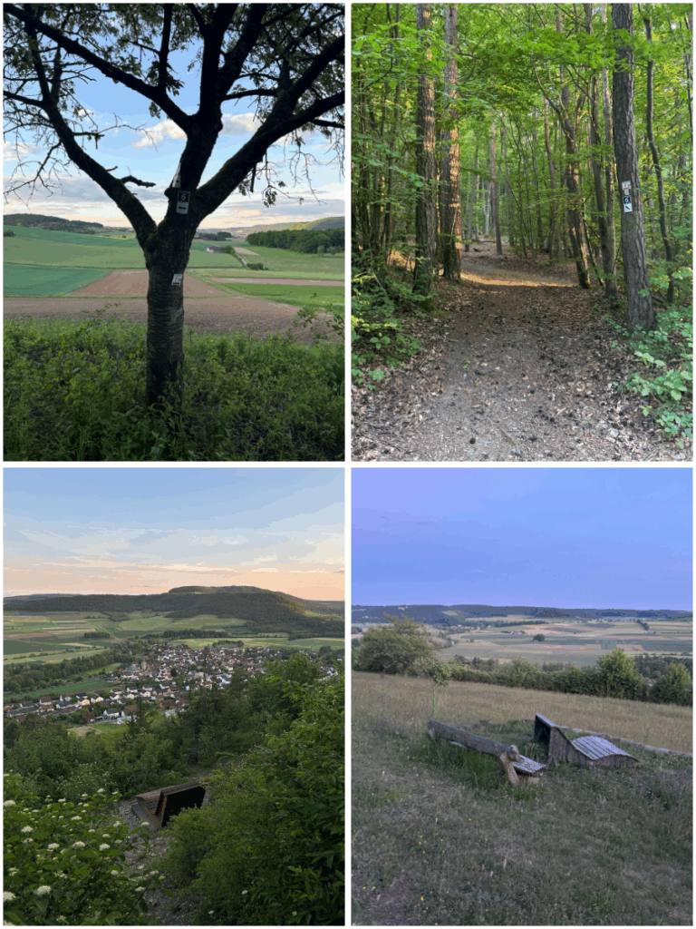 vom Sturmiushof auf den Sturmiusberg - Wandern mit @die_Starkies