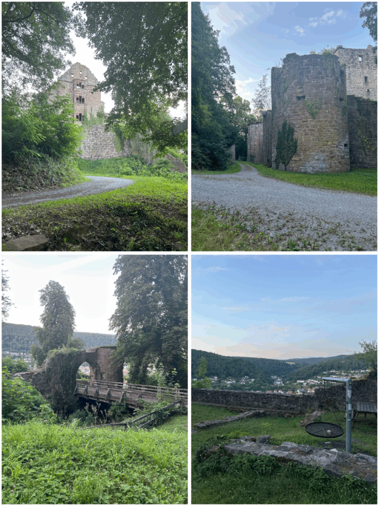 Burgurine Minneburg bei Neckargerach - Wandern mit @die__Starkies Komoot